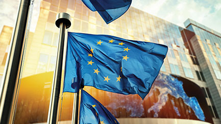 EU Nitrogen Expert Panel presented to the European Parliament