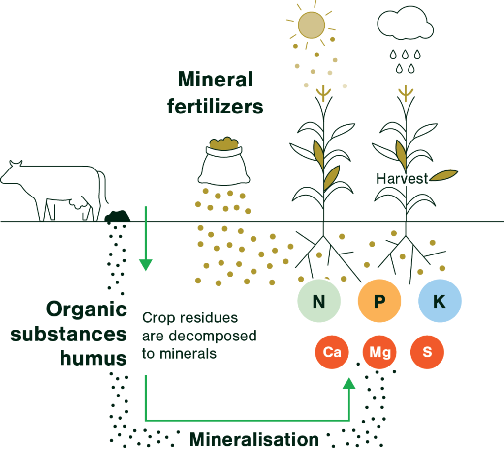 what is the analysis of map fertilizer