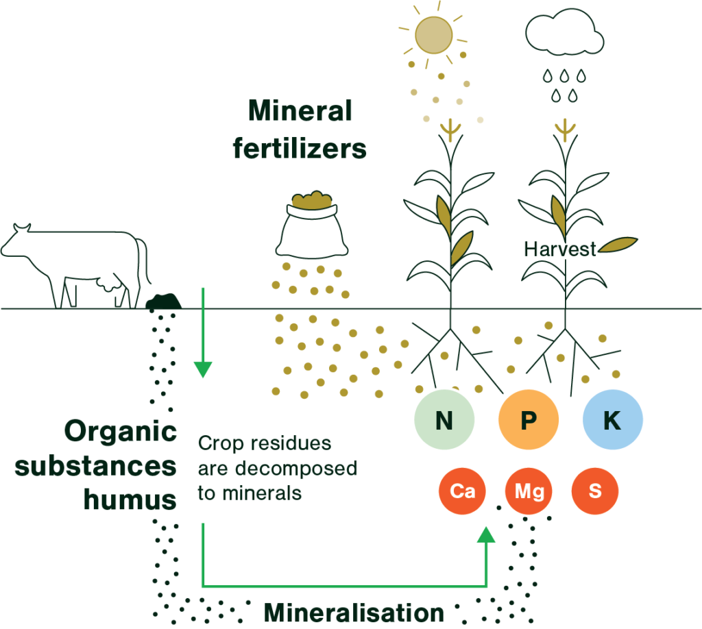 Types Of Fertilizer Fertilizers Europe