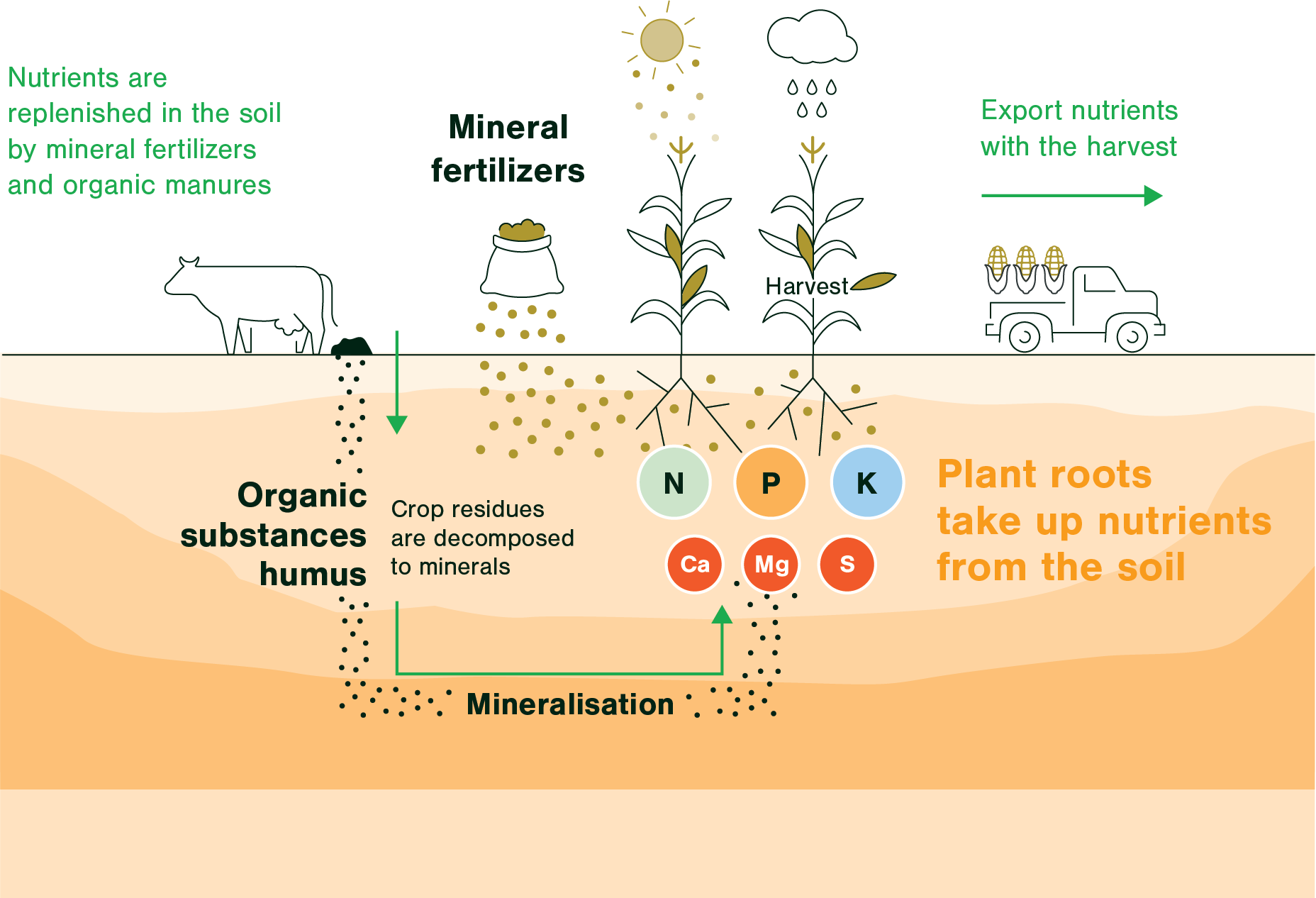 Balanced Fertilisation ForumIAS