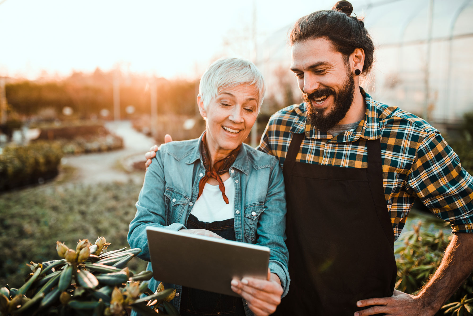 Cool Farm Tool Fertilizers Europe