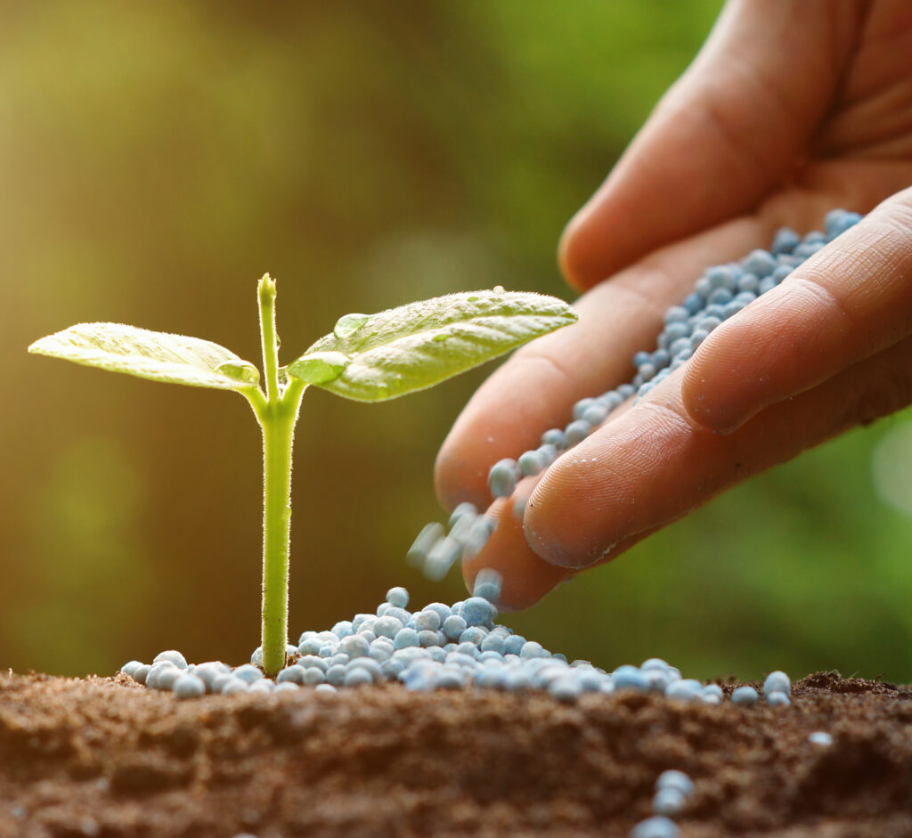 Communication on fertilisers: EU industry welcomes short-term measures but calls for more comprehensive long-term strategy