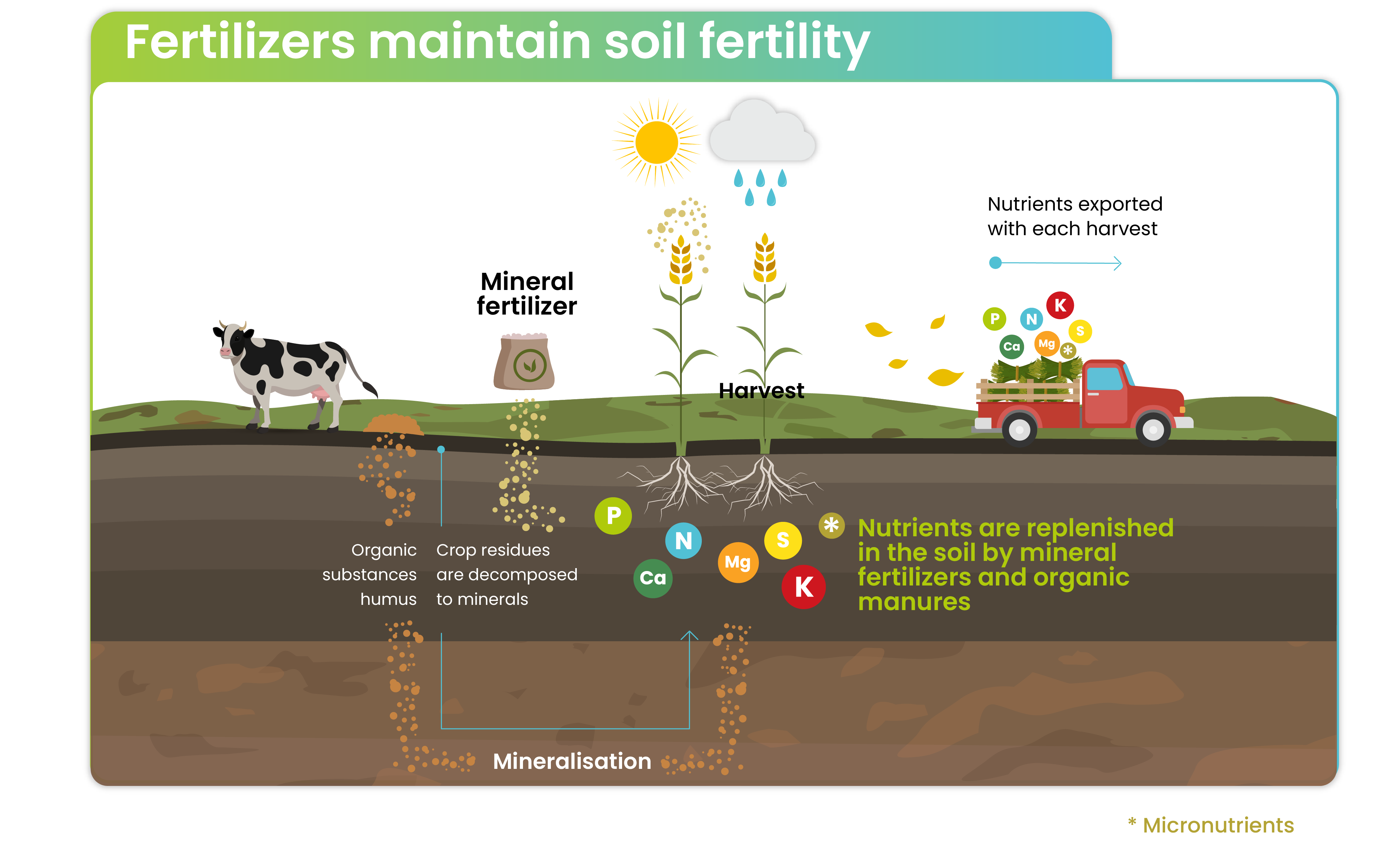 Fertilizers maintain soil fertility-01