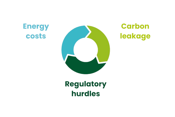 Industry-Facts-and-figures-2023.pdf__1200_x_800_mm___1_-removebg-preview Circular diagram showing energy costs, carbon leakage, and regulatory hurdles in fertilizers.